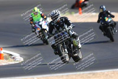 media/Sep-24-2023-Lets Ride (Sun) [[d86551c7f6]]/C Group/240pm (Turn 4a)/